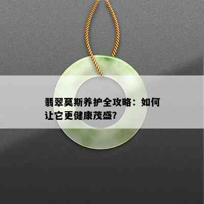 翡翠莫斯养护全攻略：如何让它更健康茂盛？