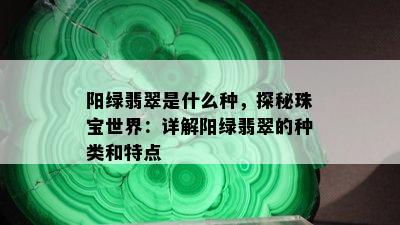 阳绿翡翠是什么种，探秘珠宝世界：详解阳绿翡翠的种类和特点