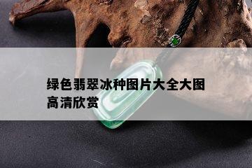 绿色翡翠冰种图片大全大图高清欣赏