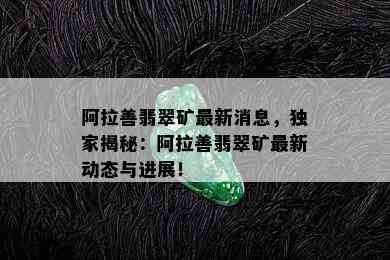 阿拉善翡翠矿最新消息，独家揭秘：阿拉善翡翠矿最新动态与进展！