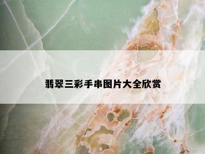 翡翠三彩手串图片大全欣赏