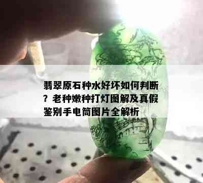 翡翠原石种水好坏如何判断？老种嫩种打灯图解及真假鉴别手电筒图片全解析