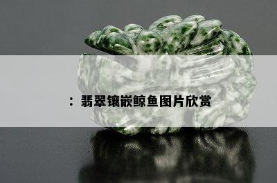 ：翡翠镶嵌鲸鱼图片欣赏