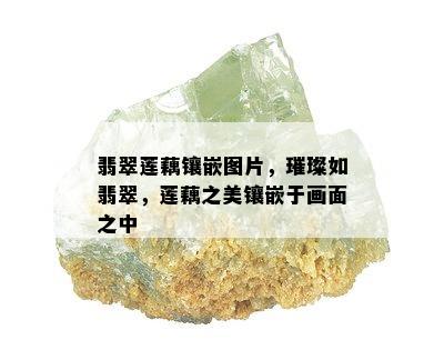 翡翠莲藕镶嵌图片，璀璨如翡翠，莲藕之美镶嵌于画面之中