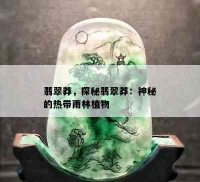 翡翠莽，探秘翡翠莽：神秘的热带雨林植物