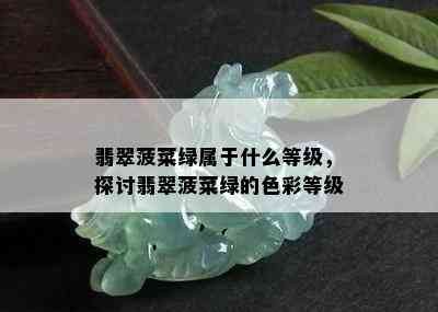 翡翠菠菜绿属于什么等级，探讨翡翠菠菜绿的色彩等级