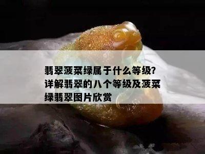 翡翠菠菜绿属于什么等级？详解翡翠的八个等级及菠菜绿翡翠图片欣赏