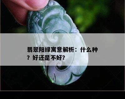 翡翠阳绿寓意解析：什么种？好还是不好？