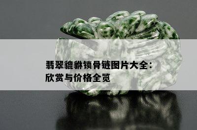 翡翠貔貅锁骨链图片大全：欣赏与价格全览