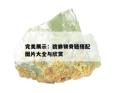 完美展示：貔貅锁骨链搭配图片大全与欣赏