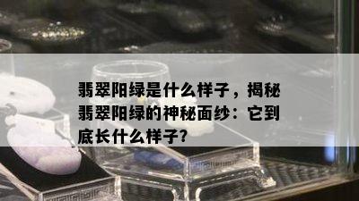 翡翠阳绿是什么样子，揭秘翡翠阳绿的神秘面纱：它到底长什么样子？