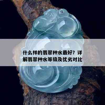 什么样的翡翠种水更好？详解翡翠种水等级及优劣对比