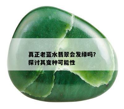 真正老蓝水翡翠会发绿吗？探讨其变种可能性