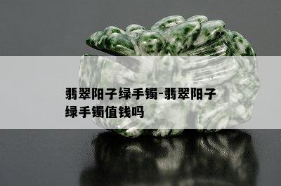 翡翠阳子绿手镯-翡翠阳子绿手镯值钱吗