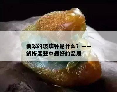 翡翠的玻璃种是什么？——解析翡翠中更好的品质