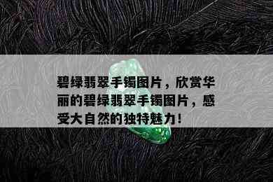 碧绿翡翠手镯图片，欣赏华丽的碧绿翡翠手镯图片，感受大自然的独特魅力！