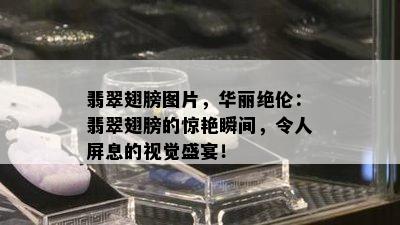 翡翠翅膀图片，华丽绝伦：翡翠翅膀的惊艳瞬间，令人屏息的视觉盛宴！