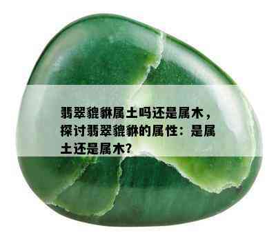 翡翠貔貅属土吗还是属木，探讨翡翠貔貅的属性：是属土还是属木？