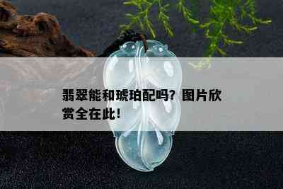 翡翠能和琥珀配吗？图片欣赏全在此！