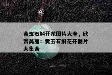 黄玉石斛开花图片大全，欣赏美丽：黄玉石斛花开图片大集合