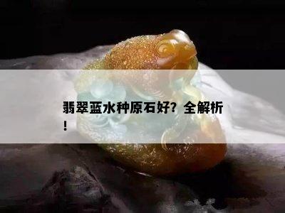 翡翠蓝水种原石好？全解析！