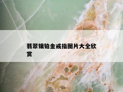 翡翠镶铂金戒指图片大全欣赏