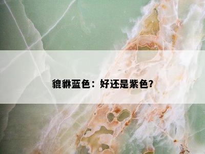 貔貅蓝色：好还是紫色？