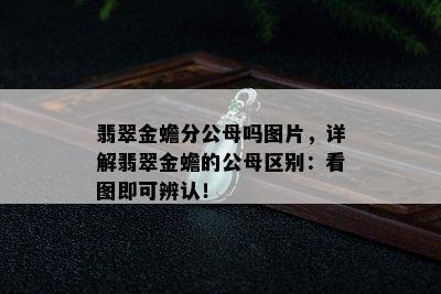 翡翠金蟾分公母吗图片，详解翡翠金蟾的公母区别：看图即可辨认！