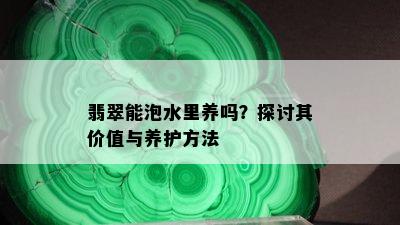 翡翠能泡水里养吗？探讨其价值与养护方法