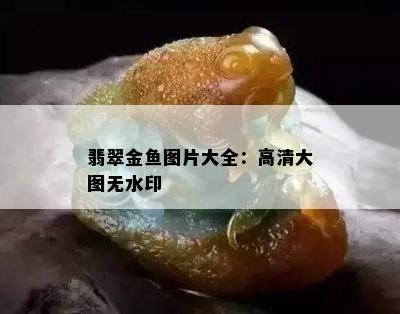 翡翠金鱼图片大全：高清大图无水印