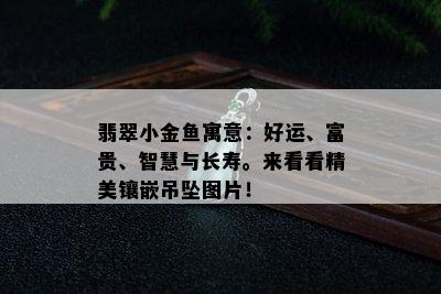 翡翠小金鱼寓意：好运、富贵、智慧与长寿。来看看精美镶嵌吊坠图片！