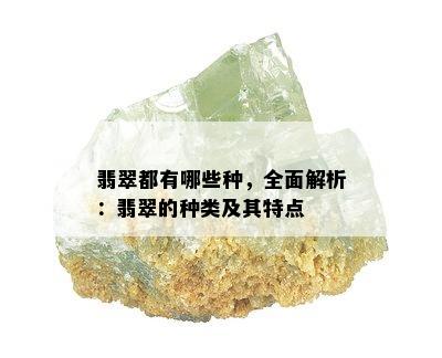 翡翠都有哪些种，全面解析：翡翠的种类及其特点