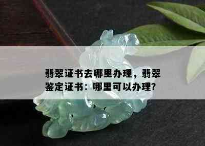 翡翠证书去哪里办理，翡翠鉴定证书：哪里可以办理？