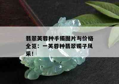 翡翠芙蓉种手镯图片与价格全览：一芙蓉种翡翠镯子风采！