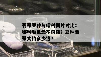 翡翠豆种与糯种图片对比：哪种颜色最不值钱？豆种翡翠大约多少钱？