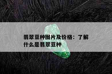 翡翠豆种图片及价格：了解什么是翡翠豆种