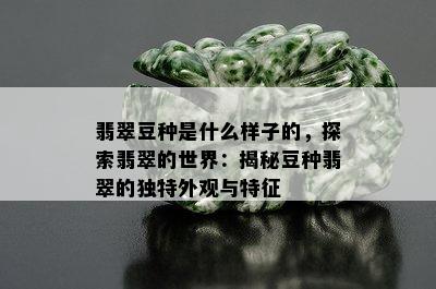 翡翠豆种是什么样子的，探索翡翠的世界：揭秘豆种翡翠的独特外观与特征