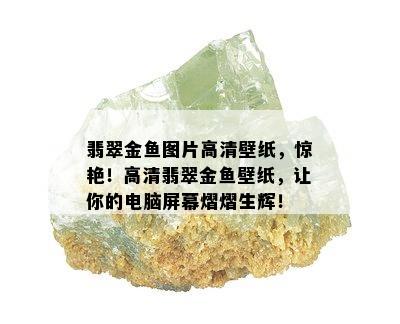 翡翠金鱼图片高清壁纸，惊艳！高清翡翠金鱼壁纸，让你的电脑屏幕熠熠生辉！