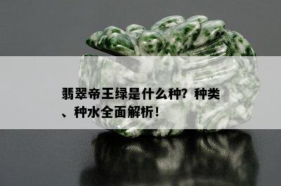 翡翠帝王绿是什么种？种类、种水全面解析！