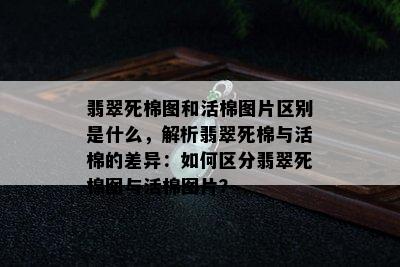 翡翠死棉图和活棉图片区别是什么，解析翡翠死棉与活棉的差异：如何区分翡翠死棉图与活棉图片？