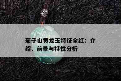 茄子山黄龙玉特征全红：介绍、前景与特性分析